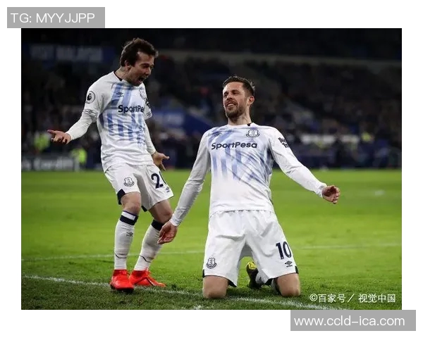 卡迪夫城主场迎战埃弗顿双方争夺英超宝贵积分之战