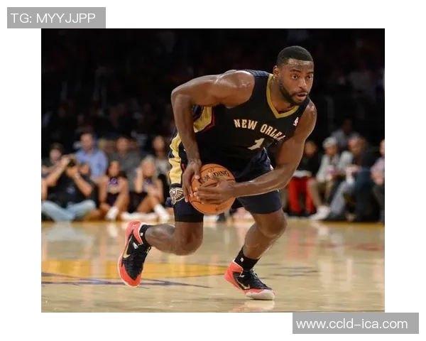 泰瑞克埃文斯的篮球传奇之路与职业生涯的辉煌成就探讨