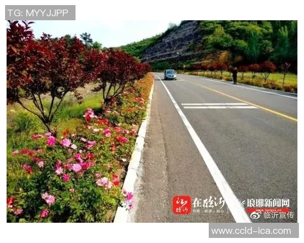 马路乡足球比赛精彩直播回放全记录助力乡村足球发展