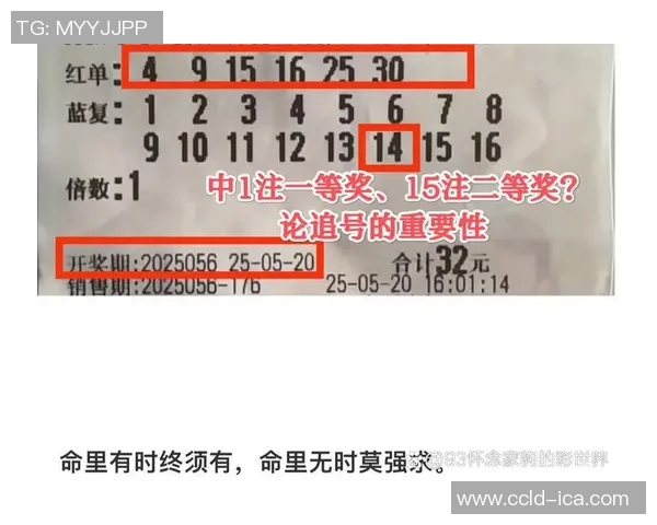 江苏七位数彩票开奖结果最新动态及中奖号码分析与预测技巧分享